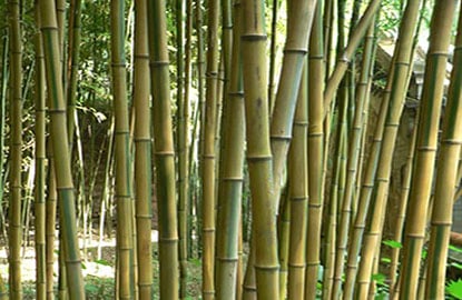 blog-4