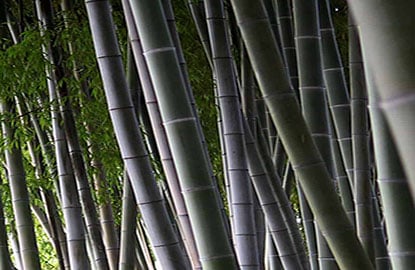 blog-4