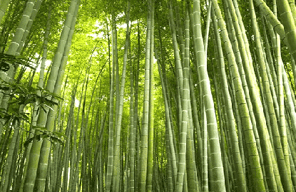 blog-4