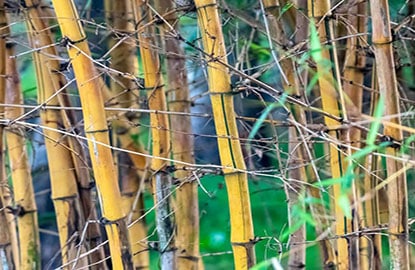 blog-4
