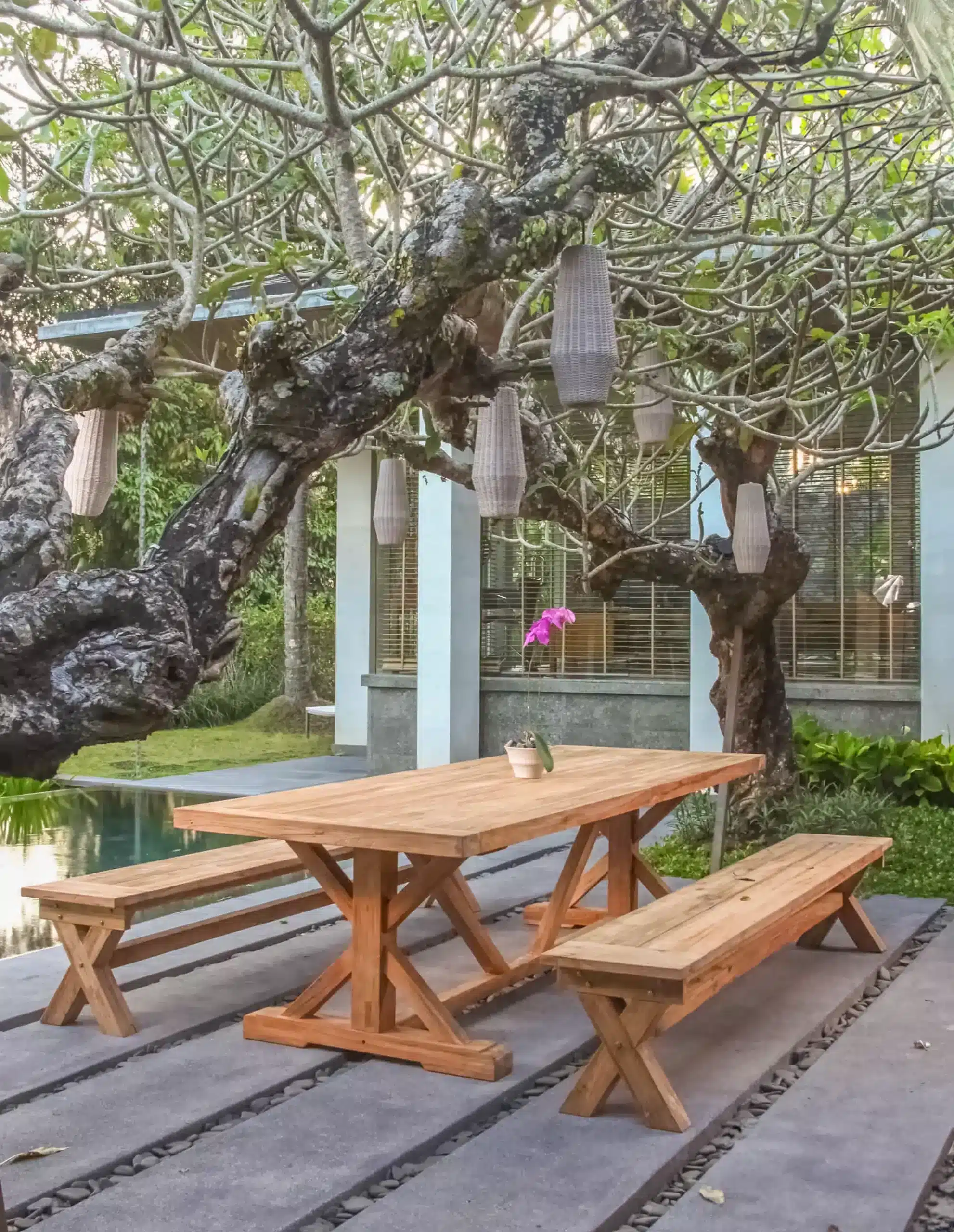 20251214-spslim-scaled-1