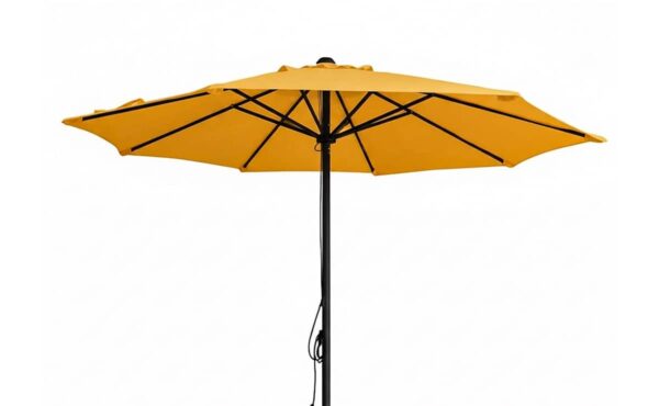 שמשייה דגם פלמה