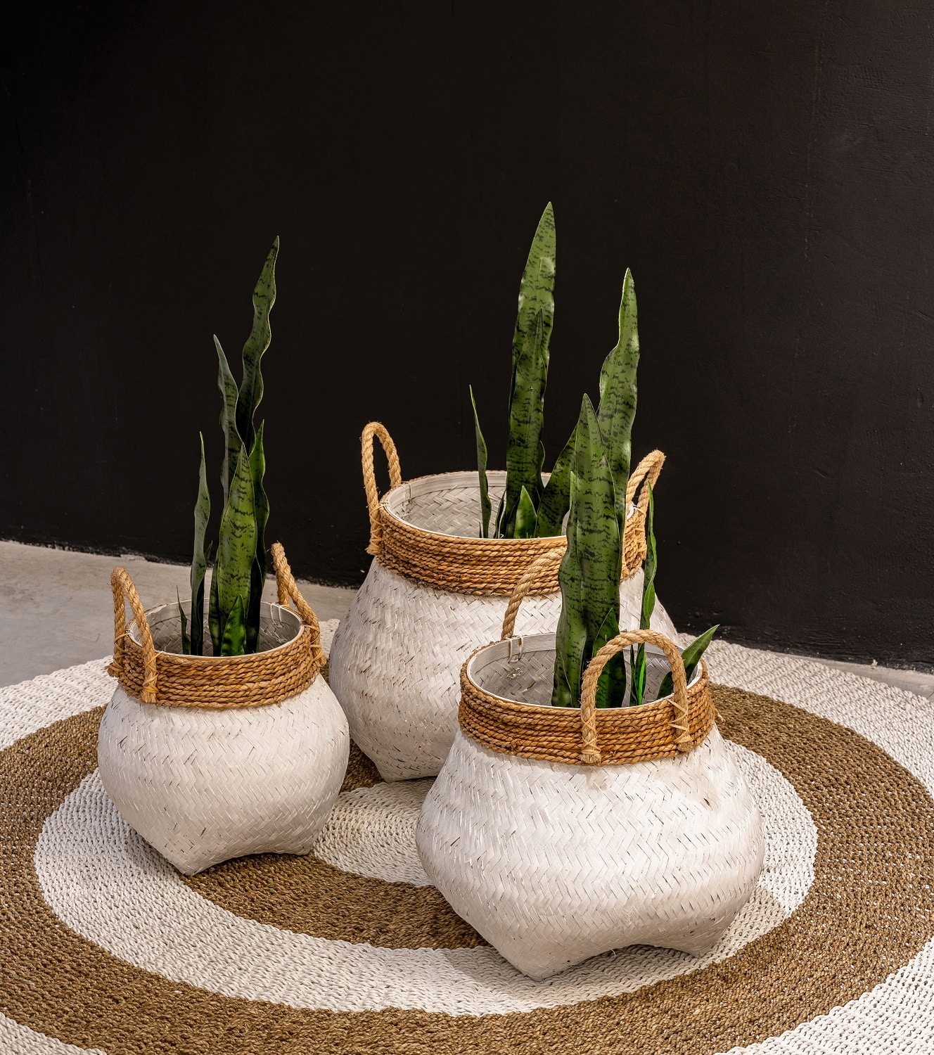 20251214-unnamed-file-125