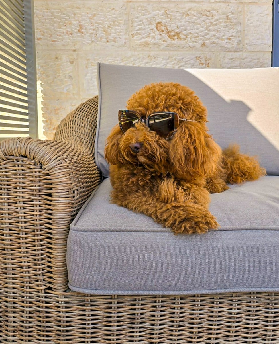 פלאיה חדש (2)